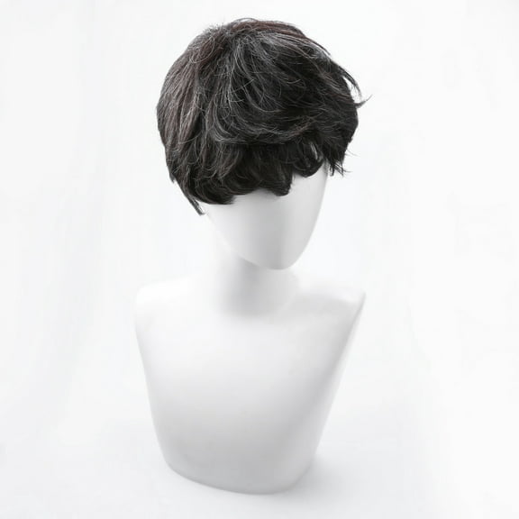 Teissuly Wigs Cosplay Short Natural Hair Mixed Dark Black Handsome Wig Men's