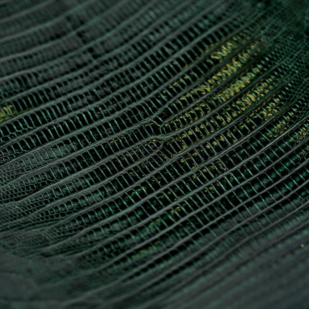 Alberta Lizard Teju Lizard Skin, Exotic Leather - Walmart.com
