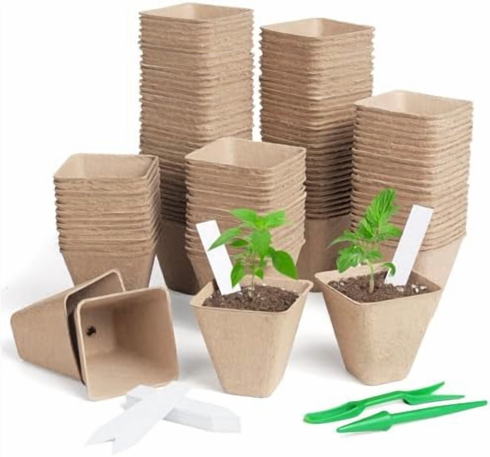 Biodegradable Pots Plants