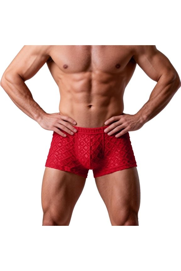 Trendy Lace Mesh Mens Underwear Stretch Lightweight Breathable Casual Boxer Briefs Solid Color Sheer Stylish Soft Comfy Boxers for Daily Wear Red L