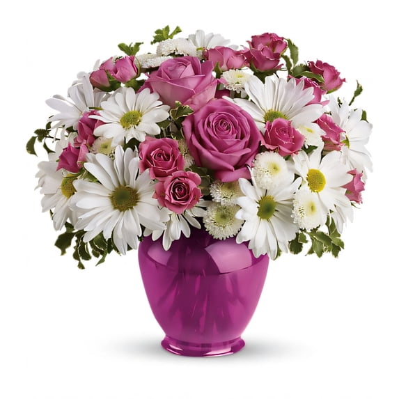 Pink Daisy Delight - Standard