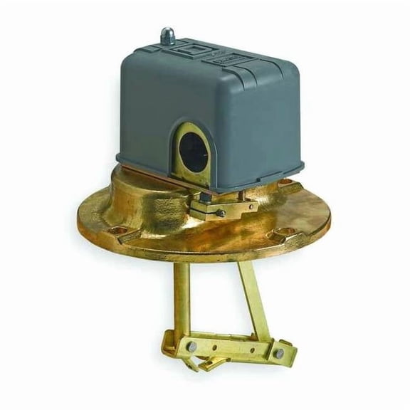 Telemecanique Sensors LiquidLevelSwitch,Vertical,Brass,575V 9037EG9