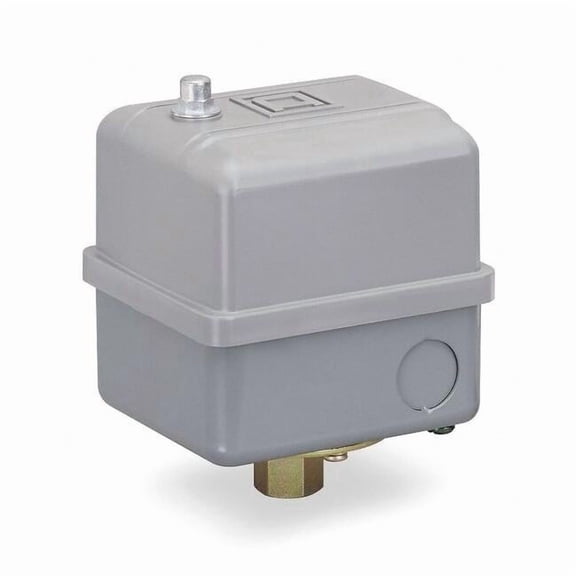 Pressure Switch, Standard, DPST, 1 Ports, 3/8" FNPS, 32 to 250 psi Range, Polypropylene