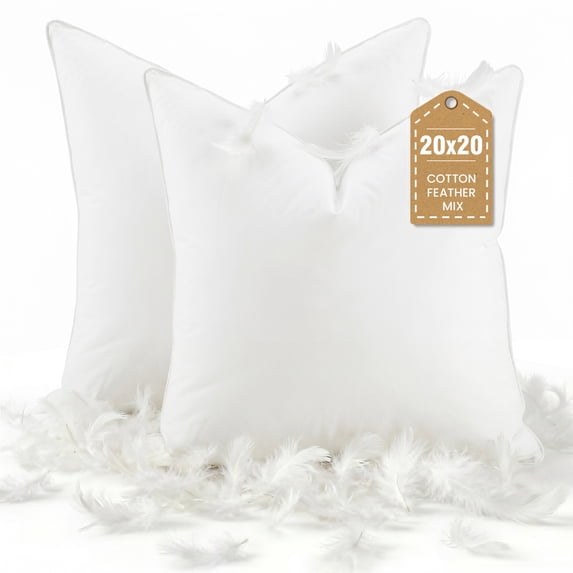 Teler Goose Feather Down Throw Pillow Inserts, Cotton Fabric Decorative Pillow Inserts for Couch Sofa Bed, 20" x 20", 2 Pack