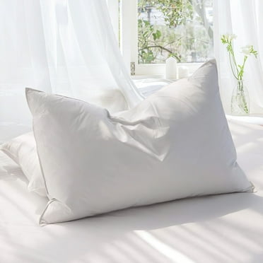 Teler Goose Feather Down Pillows for Sleeping，Luxury Hotel Collection Queen Size Soft Bed Pillow，1 Pack Queen (20" x 28")