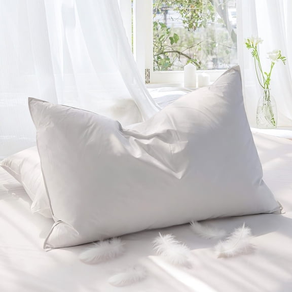 Teler Goose Feather Down Pillows for Sleeping,Luxury Hotel Collection Queen Size Soft Bed Pillow,1 Pack,Queen (20.2" x 28.2")