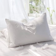 Teler Goose Feather Down Pillows for Sleeping,Luxury Hotel Collection Queen Size Soft Bed Pillow,1 Pack,Queen 20.2" x 28.2"