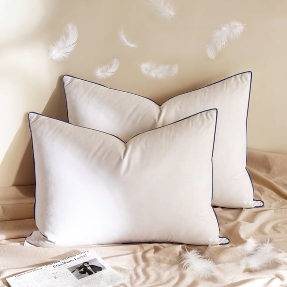 Teler Goose Down Pillow for Sleeping,with 100% Cotton Cover,Breathable & Comfortable Feather Pillow for Side and Back Sleepers,Hotel Style,King Size