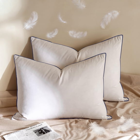 Teler Goose Down Pillow for Sleeping,with 100% Cotton Cover,Breathable & Comfortable Feather Pillow for Side and Back Sleepers,Hotel Style,Standard Size