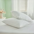 thumbnail image 1 of Teler Goose Feather and Down Pillows Queen Size Set of 2 Luxury Hotel Collection Bed Pillows, 1 of 9