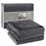Teler Weighted Blanket 60"*80",20 lbs Queen Size, Heavy Weighted Blankets for Adult, 1 x Cozy Heat Warm Minky Plush Washable Removable Cover Included, Micro Gla