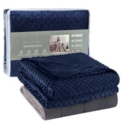 Teler Weighted Blanket 60"*80",25 lbs Queen Size, Heavy Weighted Blankets for Adult, 1 x Cozy Heat Warm Minky Plush Washable Removable Cover Included, Micro Glass Beads Technology