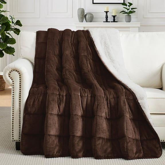 Teler Weighted Blanket Queen Size 15lbs 48 x 72 inches, Weighted Blankets for Adult with Soft Plush Fleece,Fluffy Thick Warm Sherpa & Cozy Flannel Snuggle Heavy Blanket for Sofa Bed Calming