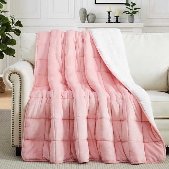 Teler Weighted Blanket Queen Size 15lbs 60 x 80 inches, Weighted Blankets for Adult with Soft Plush Fleece,Fluffy Thick Warm Sherpa & Cozy Flannel Snuggle Heavy Blanket for Sofa Bed Calming
