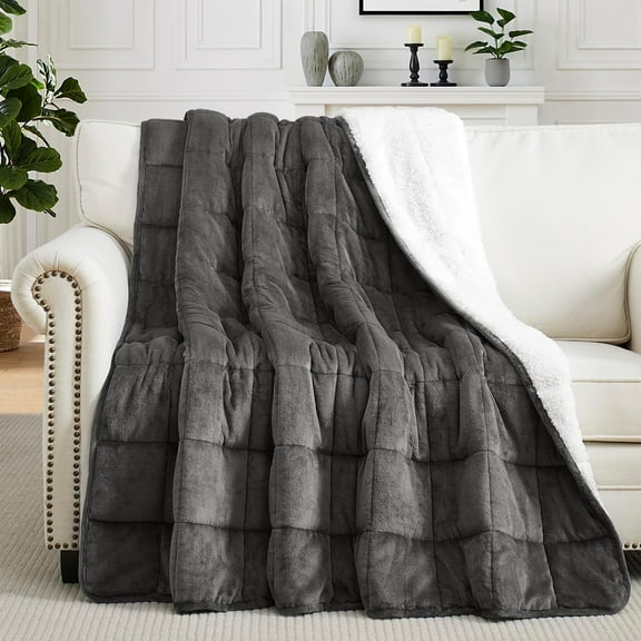 Teler Weighted Blanket Queen Size 15lbs 60 x 80 inches, Weighted Blankets for Adult with Soft Plush Fleece,Fluffy Thick Warm Sherpa & Cozy Flannel Snuggle Heavy Blanket for Sofa Bed Calming