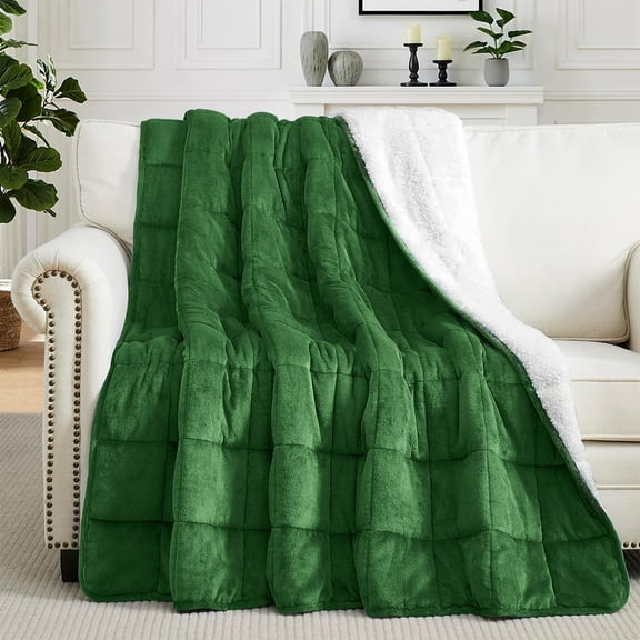 Teler Weighted Blanket Queen Size 15lbs 60 x 80 inches, Weighted Blankets for Adult with Soft Plush Fleece,Fluffy Thick Warm Sherpa & Cozy Flannel Snuggle Heavy Blanket for Sofa Bed Calming