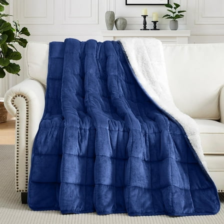 Teler Weighted Blanket for Adult, Fluffy Thick Warm Sherpa & Cozy Flannel Snuggle Heavy Blanket for Sofa Bed Calming, Queen Size (60"x80",20lbs)