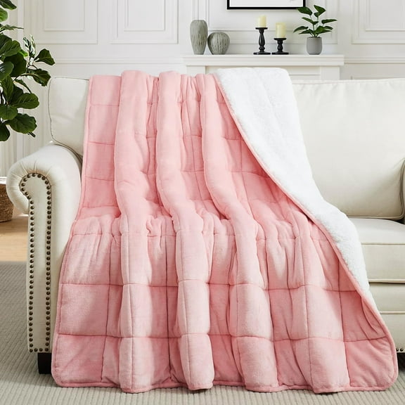 Teler Weighted Blanket for Adult, Fluffy Thick Warm Sherpa & Cozy Flannel Snuggle Heavy Blanket for Sofa Bed Calming, Queen Size (60"x80",20lbs)