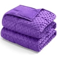 thumbnail image 1 of Teler Weighted Blanket for Kids（36 x 48，5lbs）Weighted Lap Blanket,Dark Purple, 1 of 7