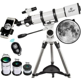 東屋　scope Lehti 2枚セット Artek アルテック