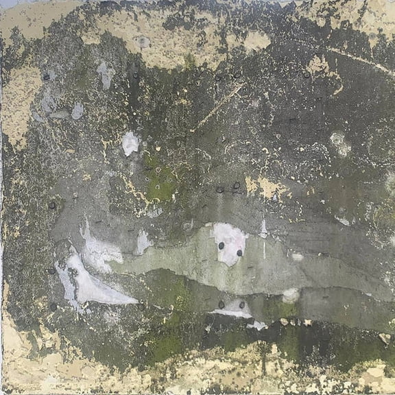 Telescopes Experimental Health LP