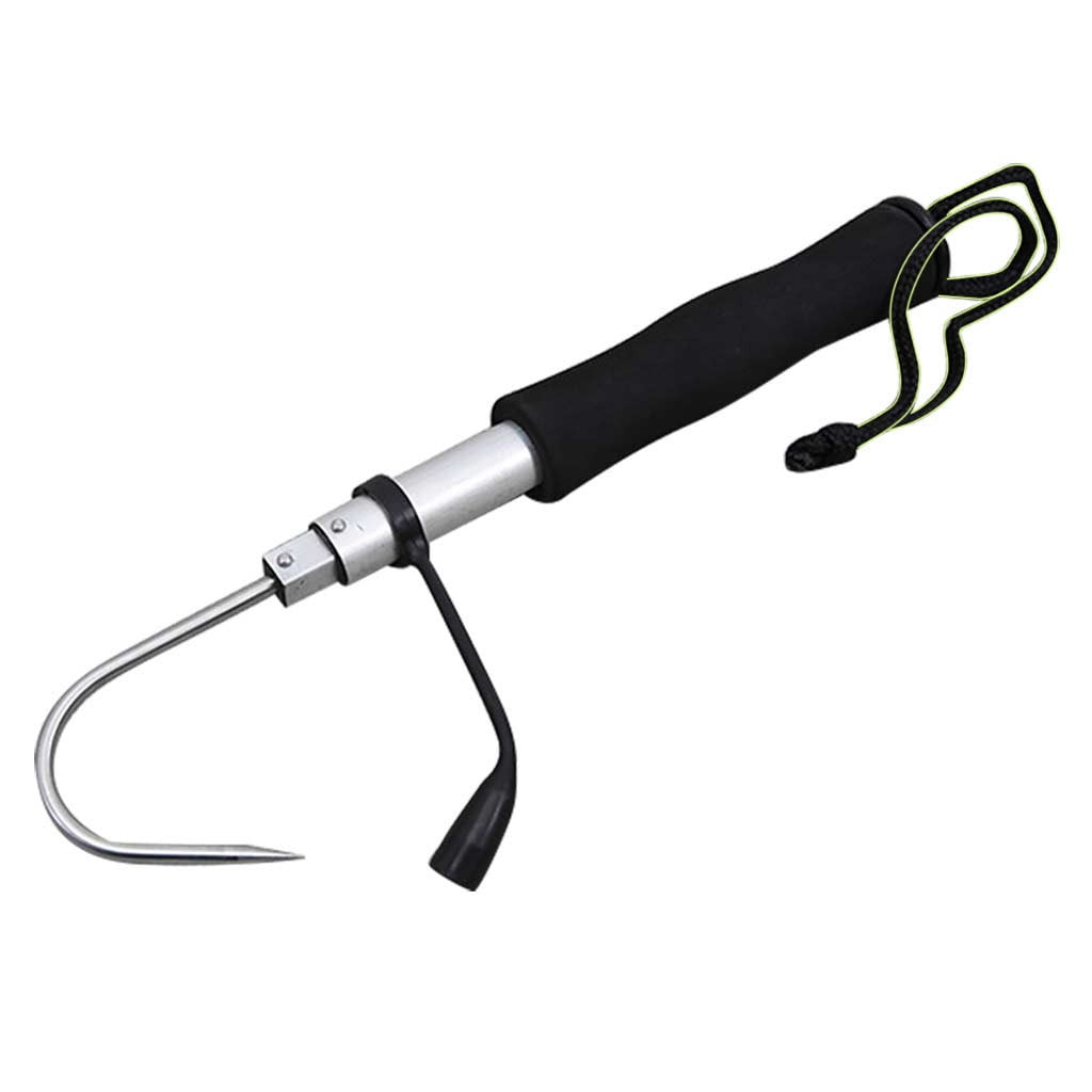 Gaff, 2' Wood Handle 2 Stainless Steel Hook - Budget Marine