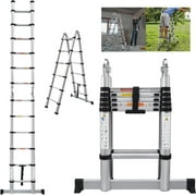 12ft outdoor ladder