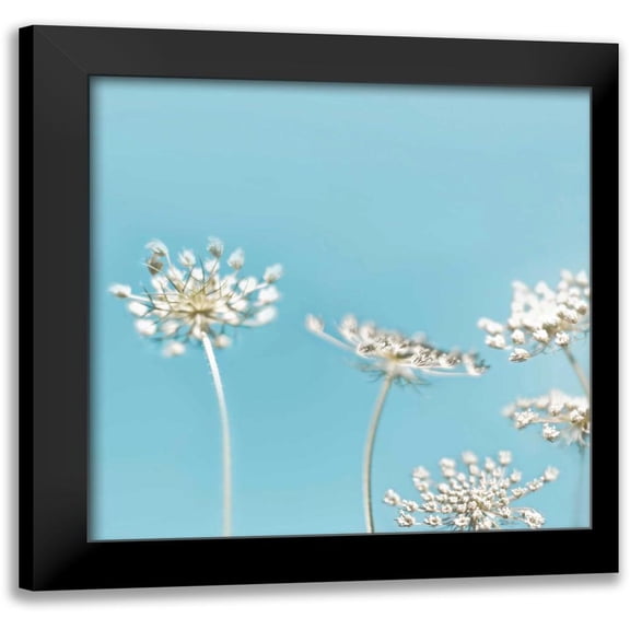 Telik, Tracey 12x12 Black Modern Framed Museum Art Print Titled - Queens 40