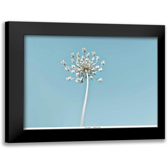 Telik, Tracey 14x12 Black Modern Framed Museum Art Print Titled - Lacey 2