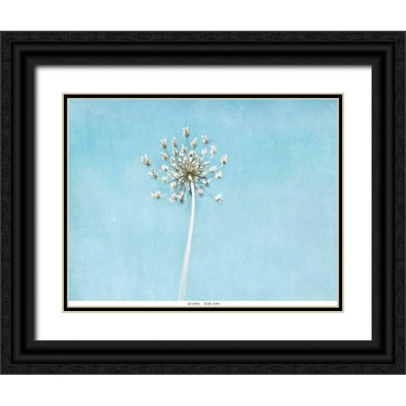 Telik, Tracey 14x12 Black Ornate Wood Framed with Double Matting Museum Art Print Titled - Lacey Texture 2