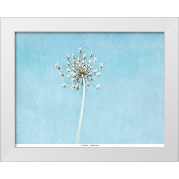 Telik, Tracey 14x12 White Modern Wood Framed Museum Art Print Titled - Lacey Texture 2
