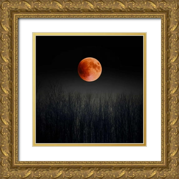 Telik, Tracey 15x15 Gold Ornate Wood Framed with Double Matting Museum Art Print Titled - Blood Moon
