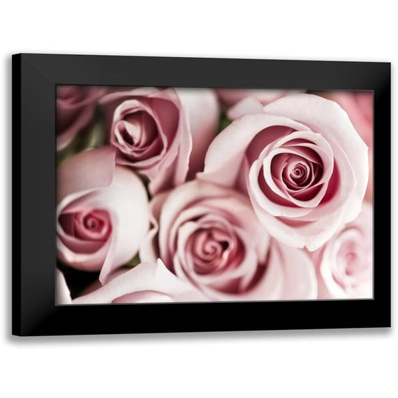 Telik, Tracey 18x15 Black Modern Framed Museum Art Print Titled - Blush Tone Bouquet