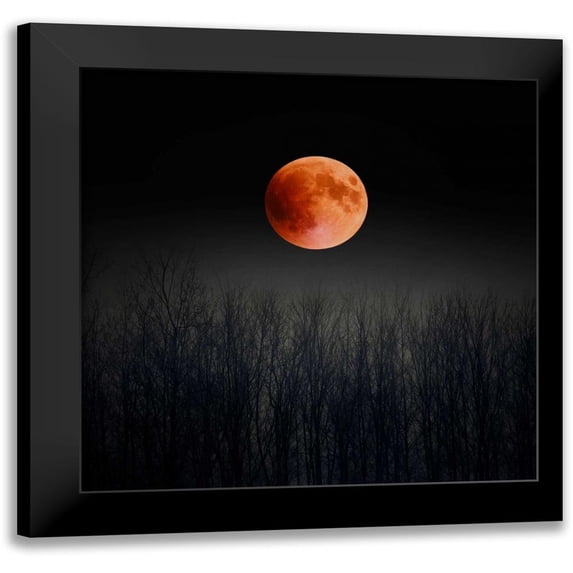 Telik, Tracey 20x20 Black Modern Framed Museum Art Print Titled - Blood Moon