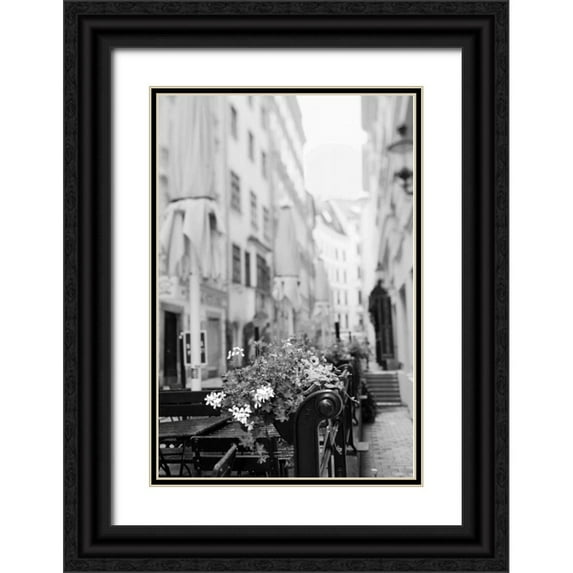 Telik, Tracey 23x32 Black Ornate Wood Framed with Double Matting Museum Art Print Titled - Paris Cafe