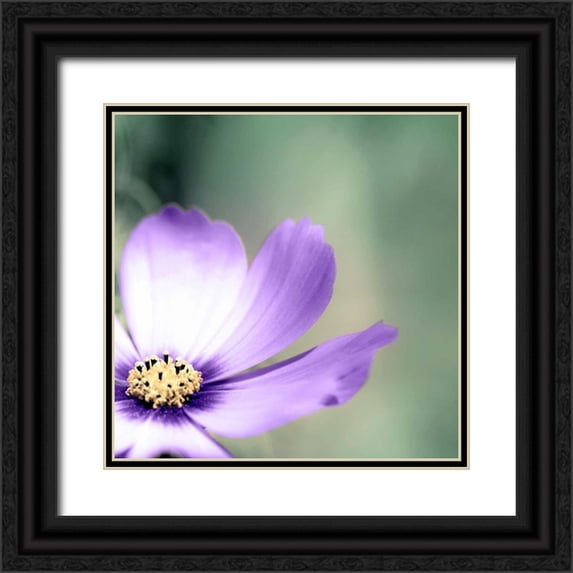 Telik, Tracey 26x26 Black Ornate Wood Framed with Double Matting Museum Art Print Titled - Lonely Lilac 1