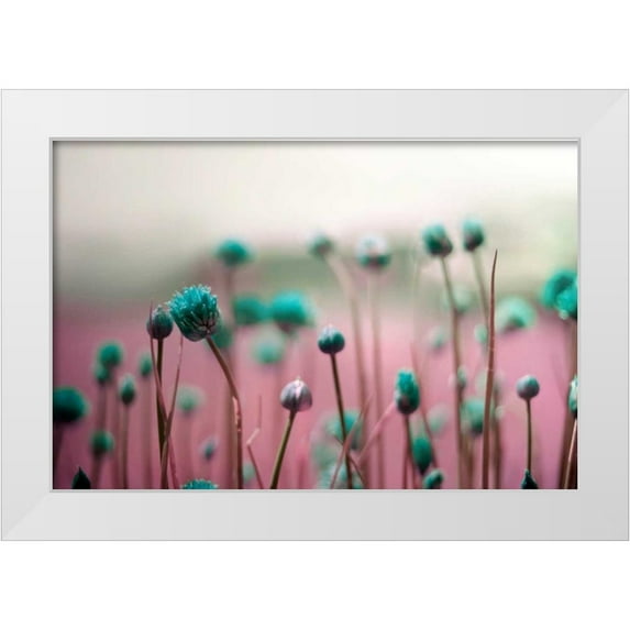 Telik, Tracey 32x23 White Modern Wood Framed Museum Art Print Titled - Journey Thru The Field