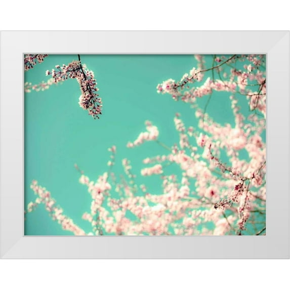 Telik, Tracey 32x25 White Modern Wood Framed Museum Art Print Titled - Apple Sky