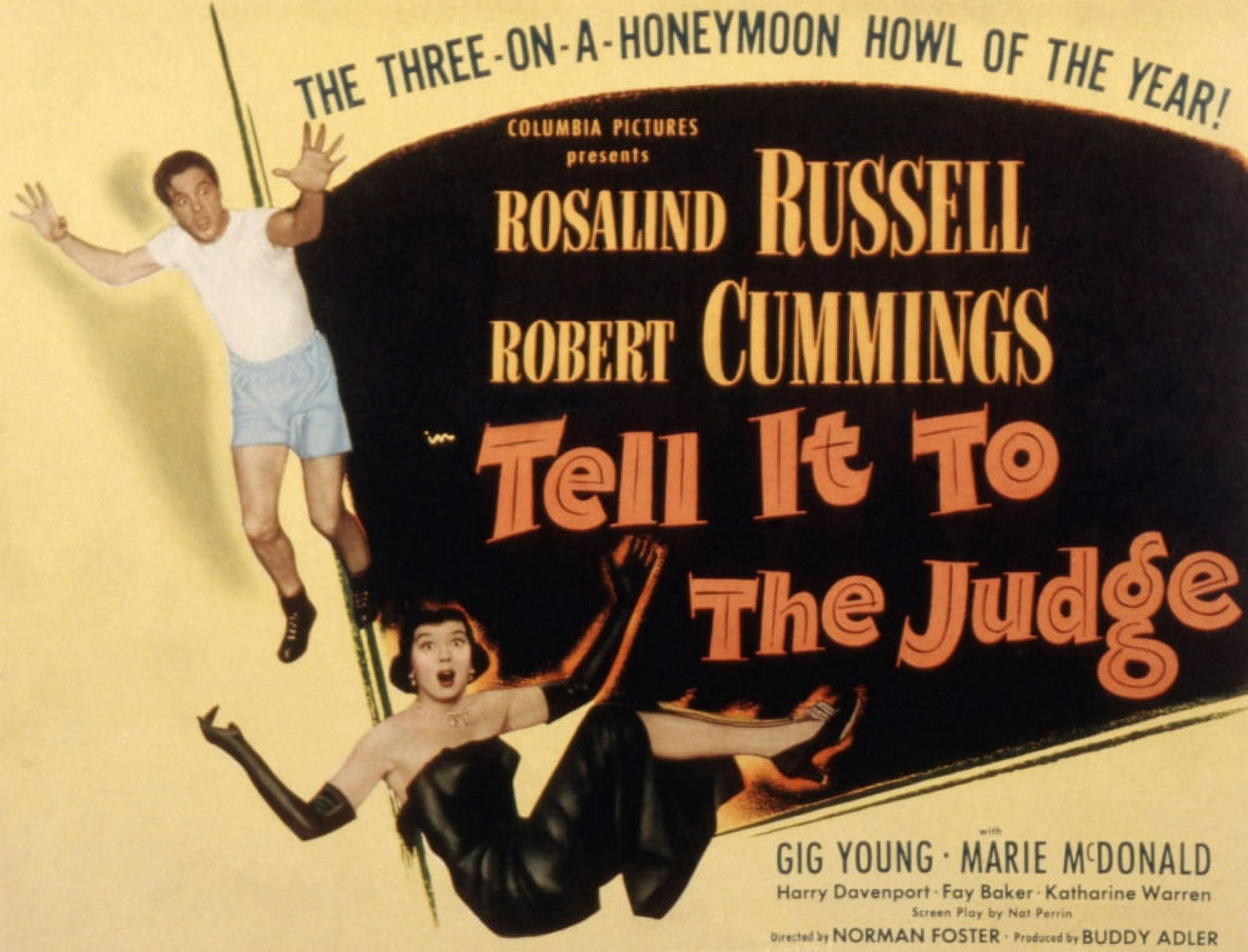 Tell It To The Judge Canvas Art - (28 x 22)