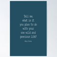 thumbnail image 1 of Tell Me What Is It You Plan To Do With Your One Wild And Precious Life, Mary Oliver Quote, Inspirational Poster Wall Art, Modern Wall Decor For Living Room Bedroom, 12x18 UNFRAMED, 1 of 2