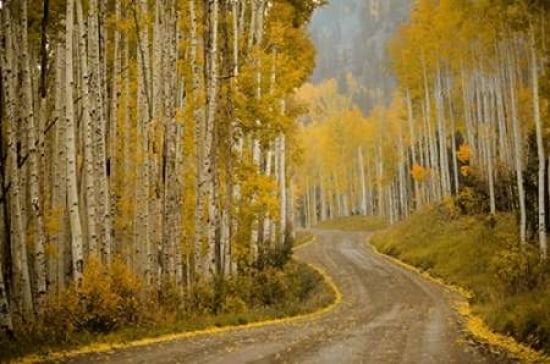 Telluride CO Canvas Art - Amber Berninger (12 x 18)