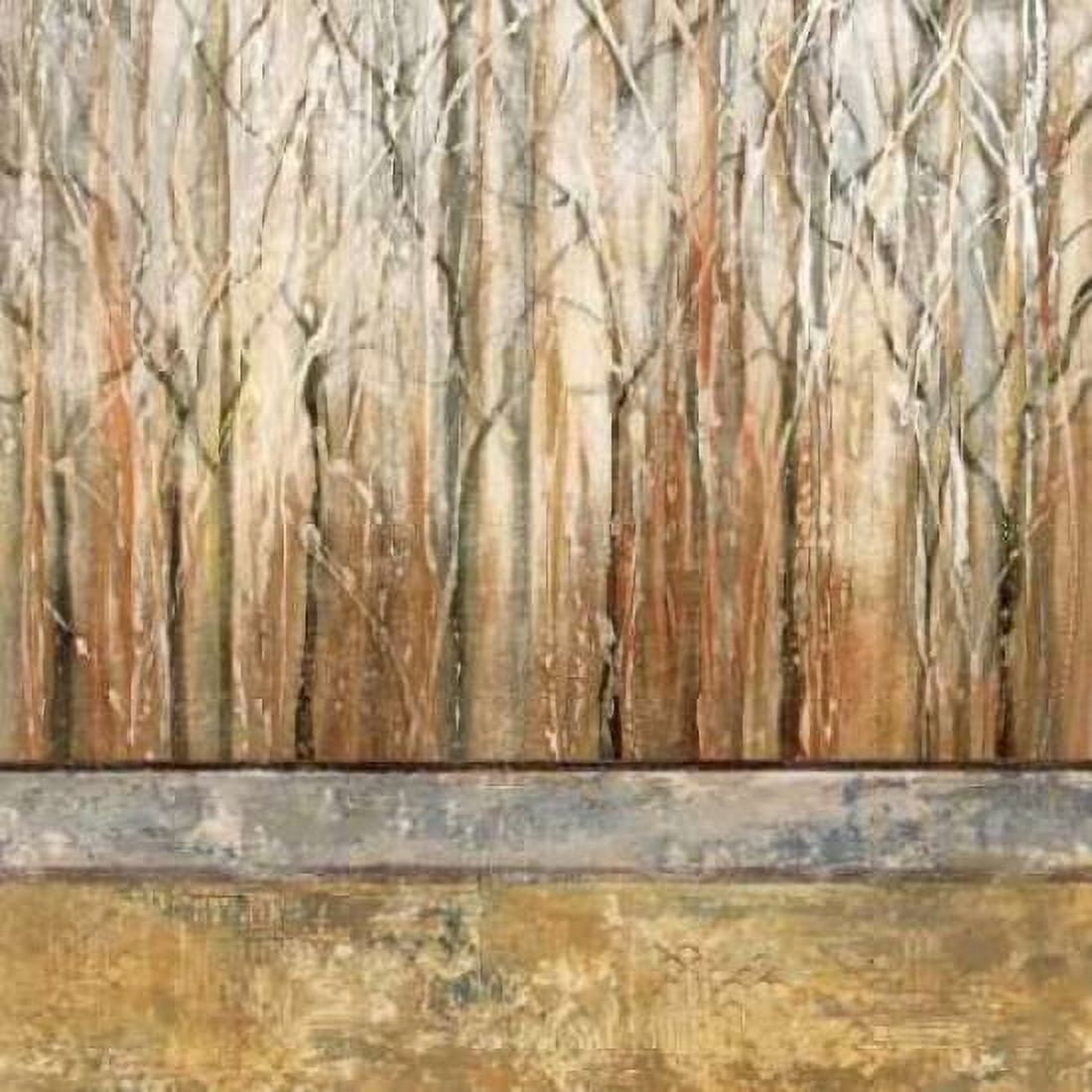 Telluride I Canvas Art - Michael King (24 x 24)