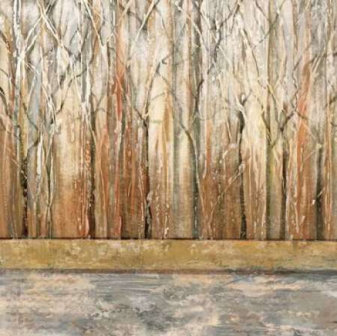 Telluride II Canvas Art - Michael King (24 x 24)