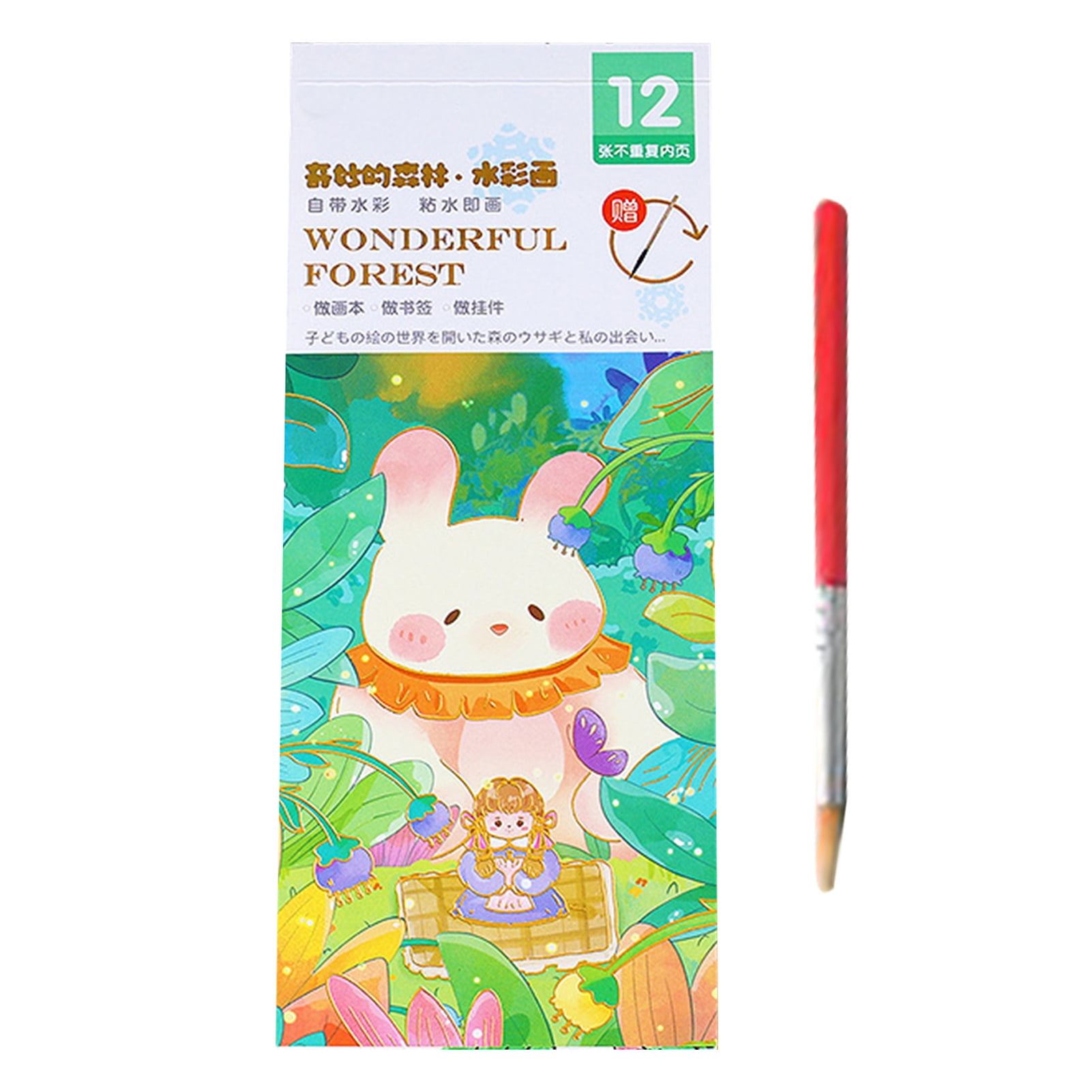 Temacd 12 Sheets 5 Dream Themes Selfcontained Paint Drawing Coloring