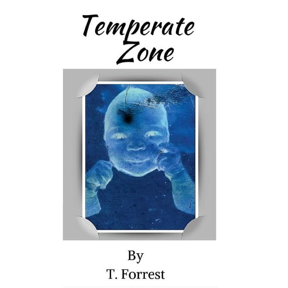 Temperate Zone (Paperback)