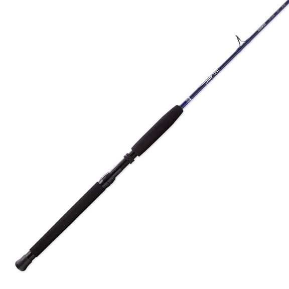 Temple Fork Outfitters 6FT6IN 40lb Seahunter Spinning Rod