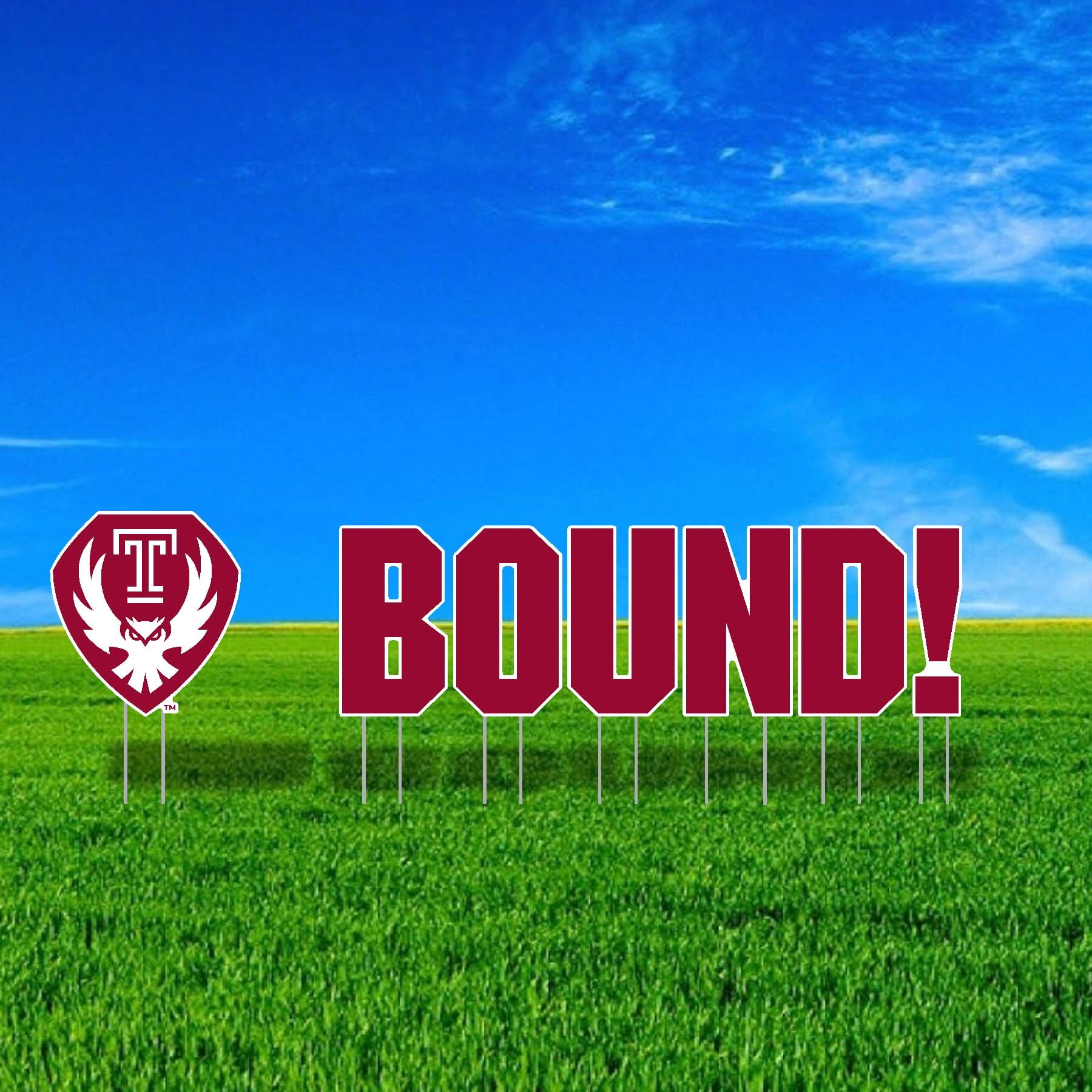 Temple University BOUND Mascot Yard Sign Set