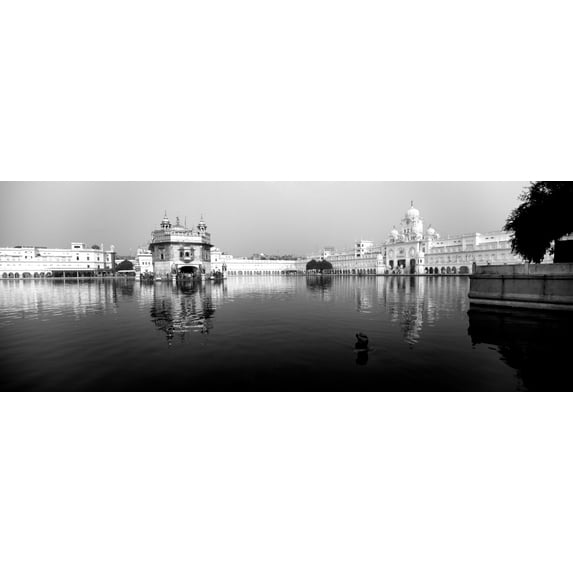 Temple at the waterfront, Golden Temple, Amritsar, Punjab, India Poster Print (7 x 18)