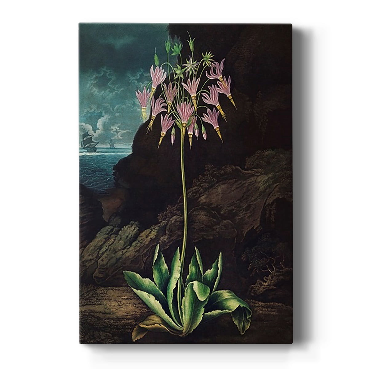 Temple of Flora II Premium Gallery Wrapped Canvas - Ready to Hang