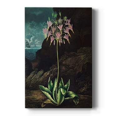 Temple of Flora II Premium Gallery Wrapped Canvas - Ready to Hang